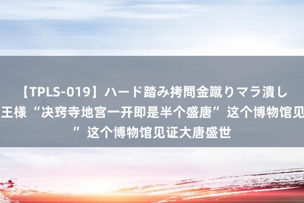 【TPLS-019】ハード踏み拷問金蹴りマラ潰し処刑 JUN女王様 “决窍寺地宫一开即是半个盛唐” 这个博物馆见证大唐盛世