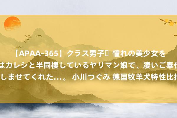 【APAA-365】クラス男子・憧れの美少女をラブホに連れ込むと、実はカレシと半同棲しているヤリマン娘で、凄いご奉仕セックスを愉しませてくれた…。 小川つぐみ 德国牧羊犬特性比拟仁和，多用于军警方面，该如何驯养呢？