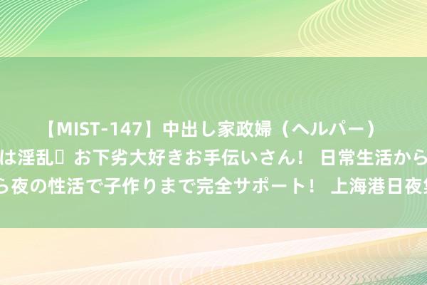 【MIST-147】中出し家政婦（ヘルパー） 清楚で美人な出張家政婦は淫乱・お下劣大好きお手伝いさん！ 日常生活から夜の性活で子作りまで完全サポート！ 上海港日夜集装箱浑沌量创历史新高