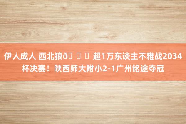 伊人成人 西北狼?超1万东谈主不雅战2034杯决赛！陕西师大附小2-1广州铭途夺冠