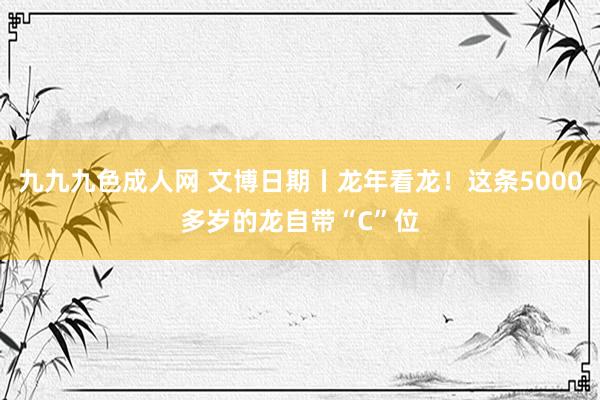 九九九色成人网 文博日期丨龙年看龙！这条5000多岁的龙自带“C”位