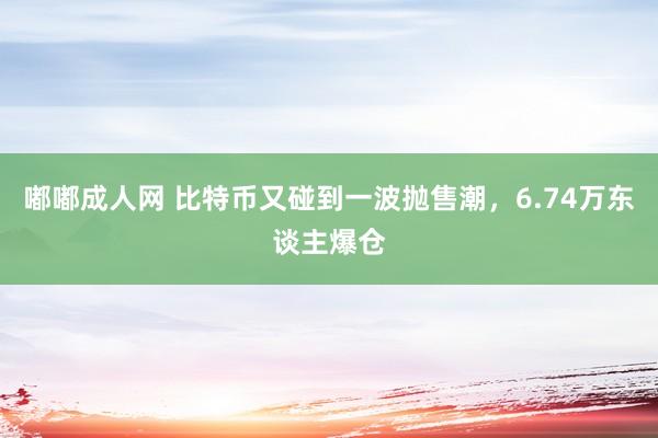 嘟嘟成人网 比特币又碰到一波抛售潮，6.74万东谈主爆仓