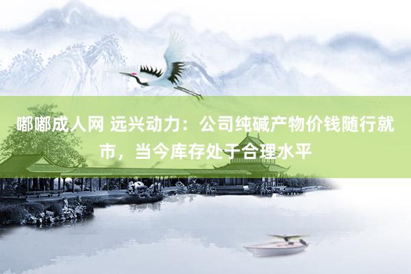 嘟嘟成人网 远兴动力：公司纯碱产物价钱随行就市，当今库存处于合理水平