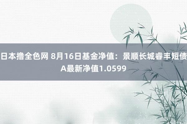 日本撸全色网 8月16日基金净值：景顺长城睿丰短债A最新净值1.0599