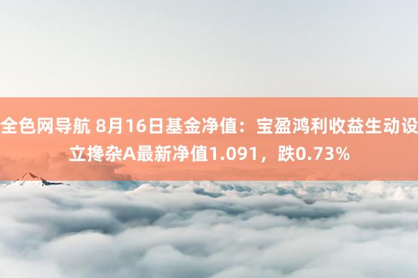 全色网导航 8月16日基金净值：宝盈鸿利收益生动设立搀杂A最新净值1.091，跌0.73%