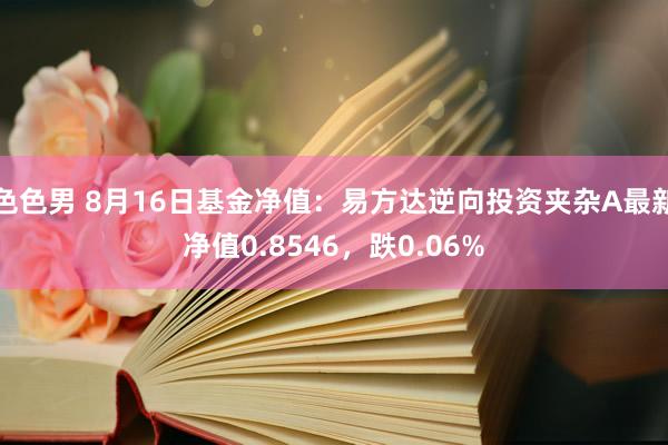 色色男 8月16日基金净值：易方达逆向投资夹杂A最新净值0.8546，跌0.06%