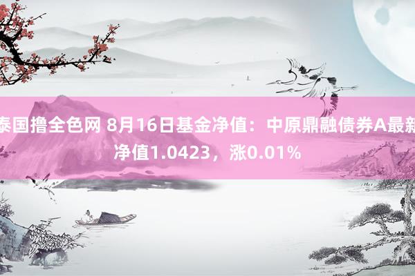 泰国撸全色网 8月16日基金净值：中原鼎融债券A最新净值1.0423，涨0.01%