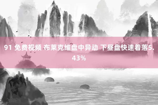 91 免费视频 布莱克维盘中异动 下昼盘快速着落5.43%