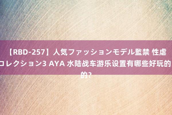 【RBD-257】人気ファッションモデル監禁 性虐コレクション3 AYA 水陆战车游乐设置有哪些好玩的？