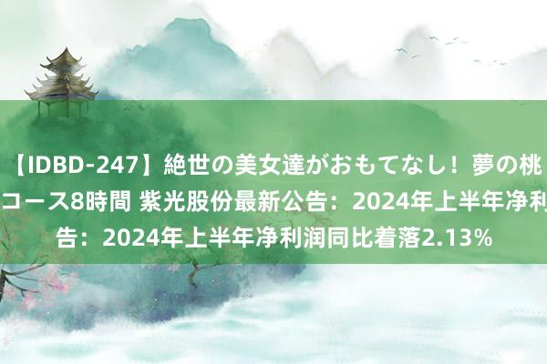 【IDBD-247】絶世の美女達がおもてなし！夢の桃源郷 IP風俗街 VIPコース8時間 紫光股份最新公告：2024年上半年净利润同比着落2.13%