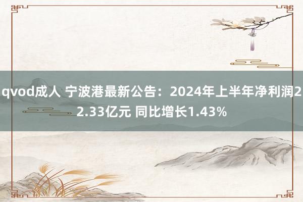 qvod成人 宁波港最新公告：2024年上半年净利润22.33亿元 同比增长1.43%