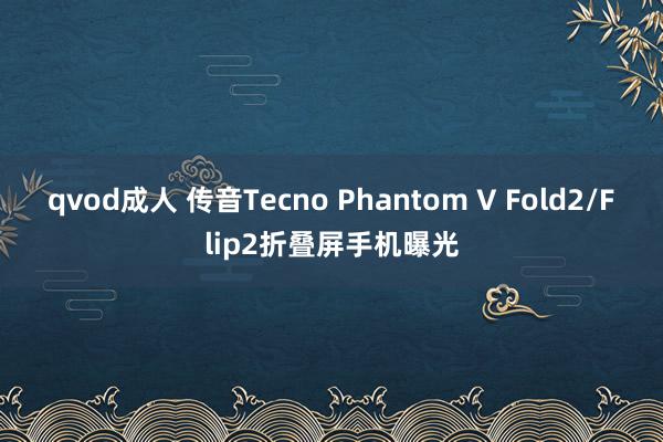 qvod成人 传音Tecno Phantom V Fold2/Flip2折叠屏手机曝光