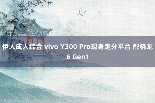 伊人成人综合 vivo Y300 Pro现身跑分平台 配骁龙6 Gen1