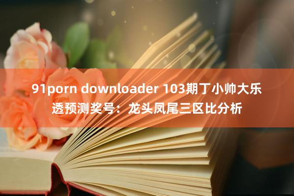 91porn downloader 103期丁小帅大乐透预测奖号：龙头凤尾三区比分析