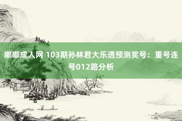 嘟嘟成人网 103期孙林君大乐透预测奖号：重号连号012路分析