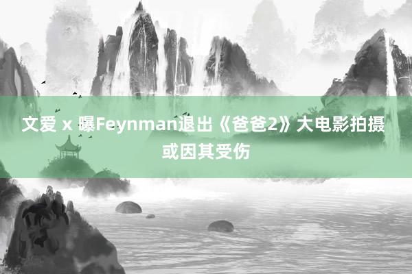 文爱 x 曝Feynman退出《爸爸2》大电影拍摄 或因其受伤