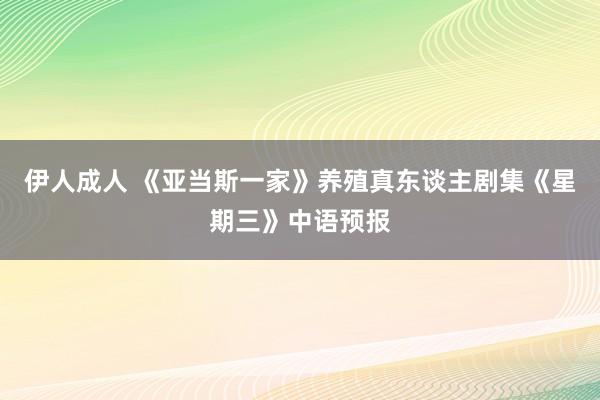 伊人成人 《亚当斯一家》养殖真东谈主剧集《星期三》中语预报