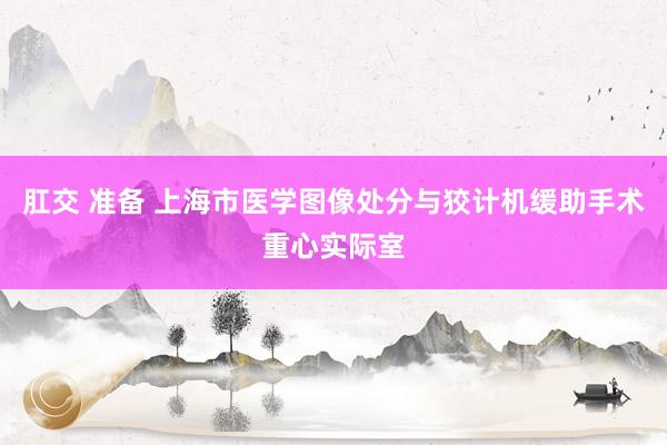 肛交 准备 上海市医学图像处分与狡计机缓助手术重心实际室