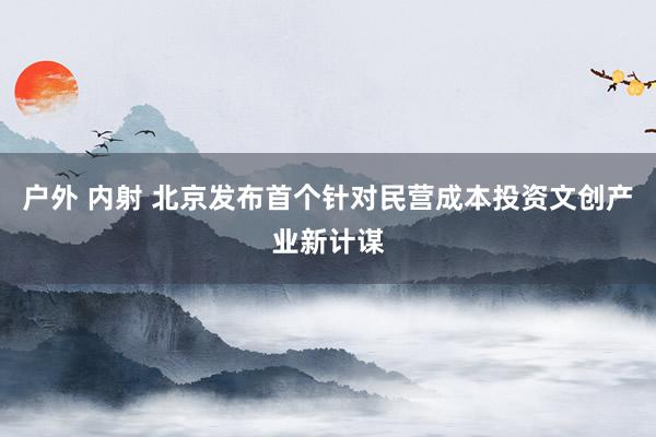 户外 内射 北京发布首个针对民营成本投资文创产业新计谋