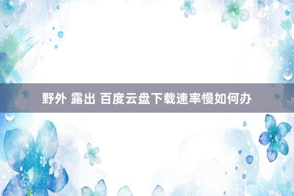 野外 露出 百度云盘下载速率慢如何办