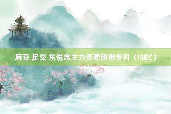 麻豆 足交 东说念主力资源照拂专科（ISEC）