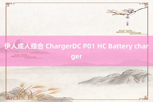 伊人成人综合 ChargerDC P01 HC Battery charger