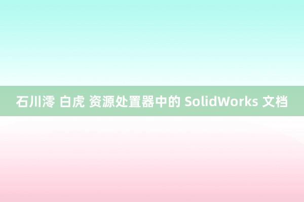 石川澪 白虎 资源处置器中的 SolidWorks 文档