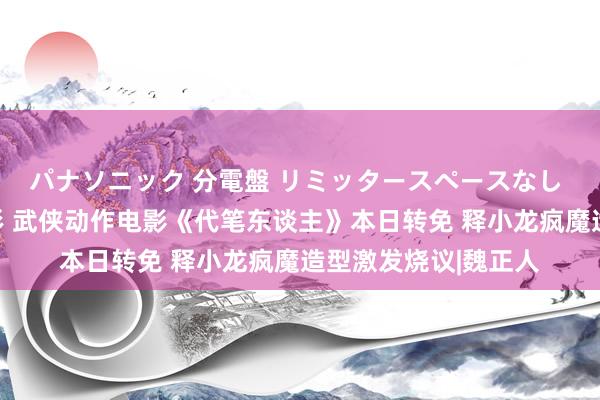 パナソニック 分電盤 リミッタースペースなし 露出・半埋込両用形 武侠动作电影《代笔东谈主》本日转免 释小龙疯魔造型激发烧议|魏正人